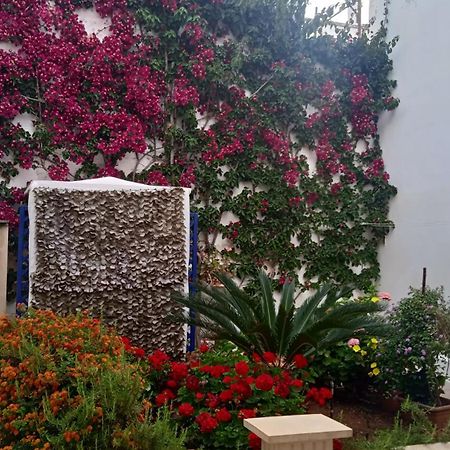 Villa Casa A 30 M Dal Mare à Sant Isidoro  Extérieur photo