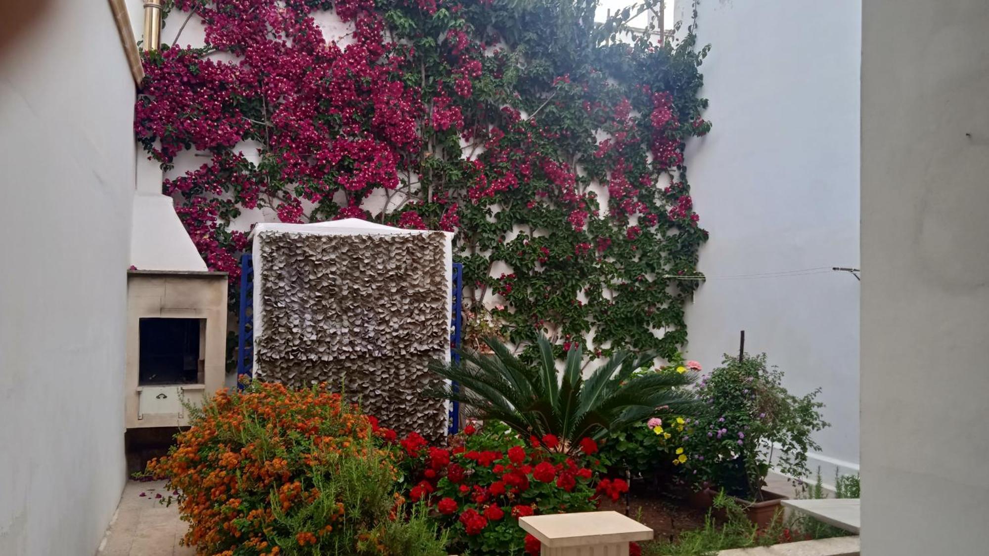 Villa Casa A 30 M Dal Mare à Sant Isidoro  Extérieur photo